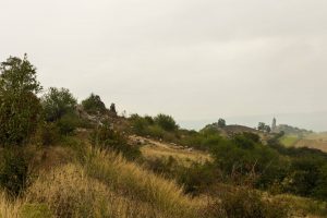 Schafs- und Ziegenherde an der Teufelsmauer im Harz