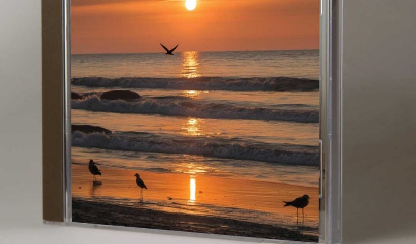 1Steins Eyes - Ein Tag Am Meer